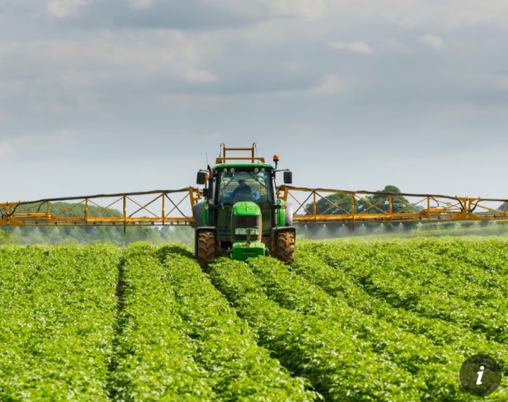 Food sector urges UK government to adopt transition period amid UK-EU post-Brexit rules reset