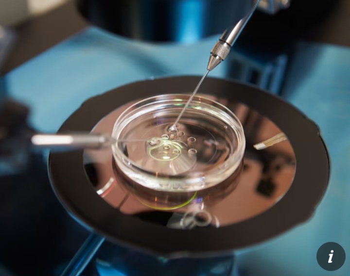 Fertility patients win High Court battle to save embryos after consent error