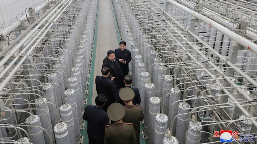 North Korea Expands Nuclear Capacity as UN Watchdog Raises Alarm