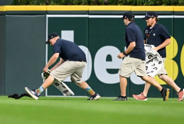 League Investigates Viral Cricket Match After Alleged Finger-Clicking Sparks Cheating Claims